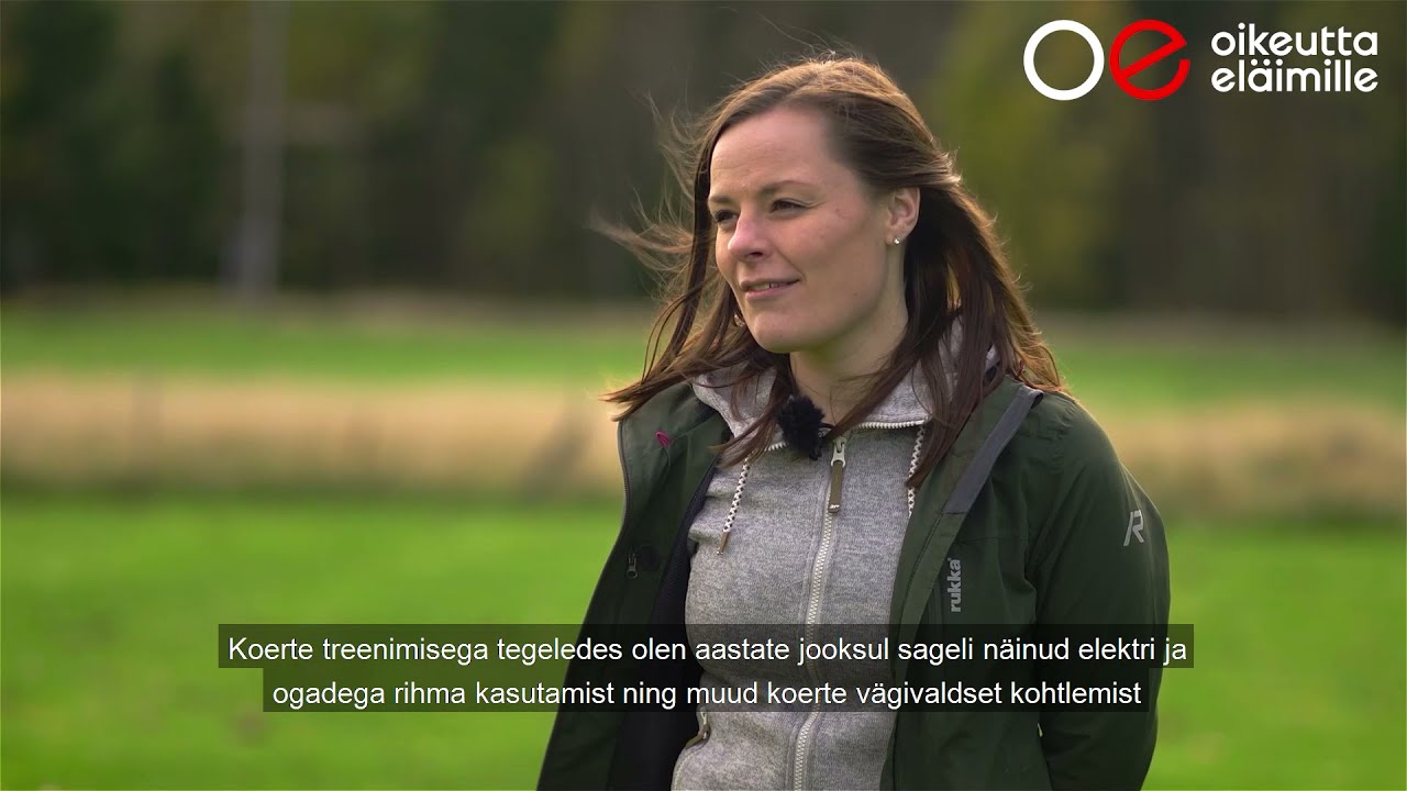 Soome loomaõiguslased avaldasid kaadrid koerte vägivaldsest kohtlemisest treeningutel
