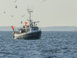 Uudised_merendus_kalapaat