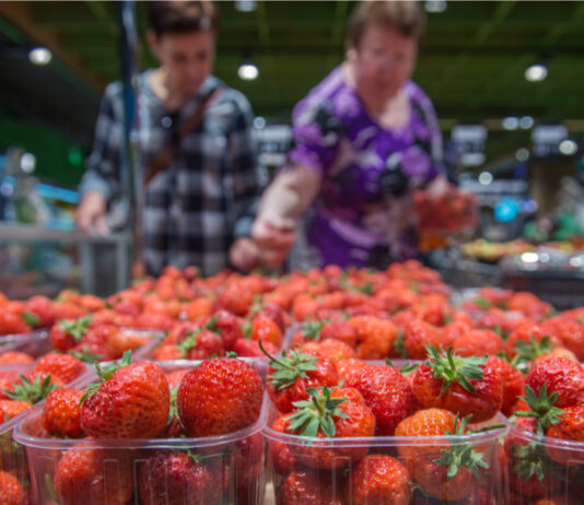 pollumajandus_maasikate_muuk