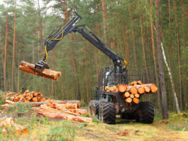 raietood_metsandus_keskkonnaamet