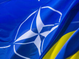 ukraina_nato
