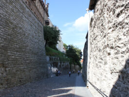 Tallinna vanalinna haljasala