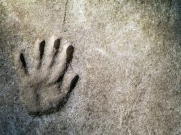 Kuriteod laste vastu